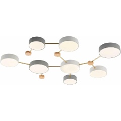 Изображение товара Потолочный светильник Evoluce DOSSENA SLE600102-08