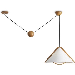 Изображение товара Потолочный светильник Freya Modern FR5554CL-01T