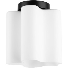 Изображение товара Потолочный светильник Lightstar Nubi 802017