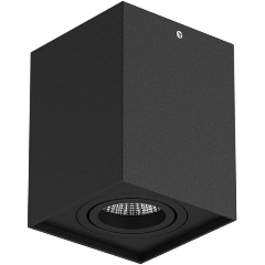 Изображение товара Потолочный светильник Lightstar Rettango 052077