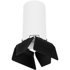 Изображение товара Потолочный светильник Lightstar Rullo (216486+202487) R6486487