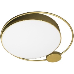 Изображение товара Потолочный светильник Loft IT Mike 10063