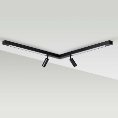 Изображение товара Потолочный светильник Lumion HAWK 5690/19CL