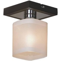 Изображение товара Потолочный светильник Lussole Costanzo LSL-9007-01