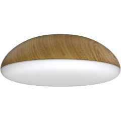 Изображение товара Потолочный светильник Mantra Kazz 8133