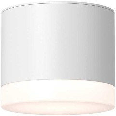 Изображение товара Потолочный светильник Maytoni Technical Pauline C087CL-GX53-W