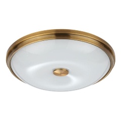 Изображение товара Потолочный светильник Odeon Light Pelow 4956/4