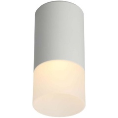 Изображение товара Настенно-потолочный светильник Omnilux Lucido OML-100609-01 белый