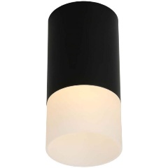 Изображение товара Настенно-потолочный светильник Omnilux Lucido OML-100619-01 черный