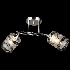 Изображение товара Потолочный светильник Reluce 04078-0.3-02