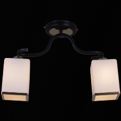 Изображение товара Потолочный светильник Reluce 32303-0.3-02