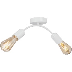 Изображение товара Потолочный светильник Vitaluce V4989-0/2PL в стиле лофт