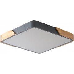 Изображение товара Потолочный светильник Zortes ALBERRO ZRS.01288.60