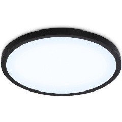 Изображение товара Потолочный светодиодный светильник Ambrella light Orbital Air Slim FZ1961