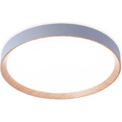 Изображение товара Потолочный светодиодный светильник Ambrella light Orbital Design FZ1322 для интерьера