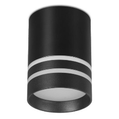 Изображение товара Потолочный светильник Ambrella light Techno Spot TN242 современный LED стиль