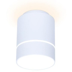 Изображение товара Потолочный светильник Ambrella light Techno Spot TN256