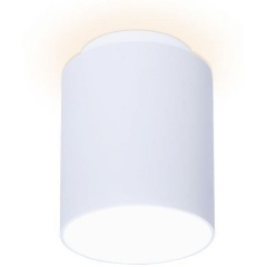 Изображение товара Потолочный светильник Ambrella light Techno Spot TN261