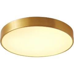 Изображение товара Потолочный светодиодный светильник Belfast Devon 3395-5 BR MB