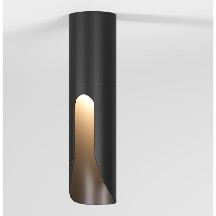 Изображение товара Потолочный светодиодный светильник Elektrostandard Apex 25113/LED a068287