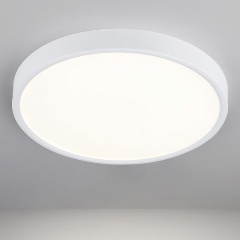 Изображение товара Потолочный светодиодный светильник Elektrostandard DLR034 24W 4200K