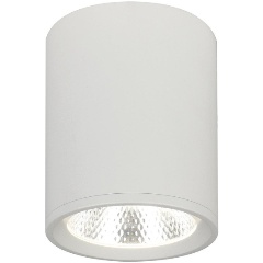 Изображение товара Потолочный светодиодный светильник Escada 20003SMU/02LED SWH