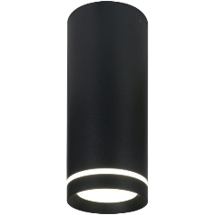 Изображение товара Потолочный светодиодный светильник Escada 20009SMU/02LED SBK