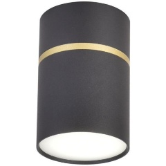 Изображение товара Потолочный светодиодный светильник Favourite Dunia 3068-1C черный стиль модерн для прихожей