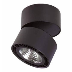 Изображение товара Накладной светильник Lightstar Forte Muro 213857