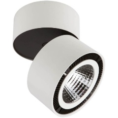 Изображение товара Накладной светильник Lightstar Forte Muro 214830 для магазина, LED, белый, металлический, 26 Вт