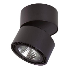 Изображение товара Накладной светильник Lightstar Forte Muro 214837