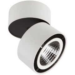 Изображение товара Накладной светильник Lightstar Forte Muro 214850 белый