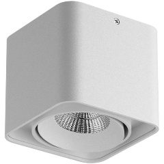 Изображение товара Накладной светильник Lightstar Monocco 052116