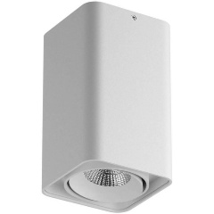 Изображение товара Накладной светильник Lightstar Monocco 052136