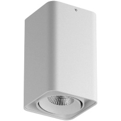 Изображение товара Потолочный светильник Lightstar Monocco 052336