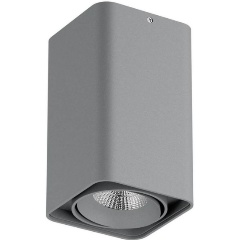 Изображение товара Потолочный светильник Lightstar Monocco 052339