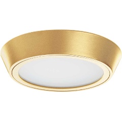 Изображение товара Потолочный светодиодный светильник Lightstar Urbano 214934