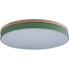 Изображение товара Потолочный светильник Loft IT Axel 10001/36 green