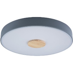 Изображение товара Потолочный светильник Loft IT Axel 10003/24 grey