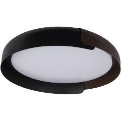 Изображение товара Потолочный светодиодный светильник Loft IT Coin 10198 Black стиль кантри для гостиной