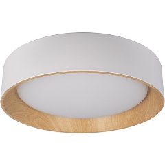 Изображение товара Потолочный светодиодный светильник Loft IT Coin 10202 White для современного интерьера