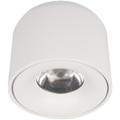 Изображение товара Потолочный светодиодный светильник Loft IT Tictac 10219 White 4000K