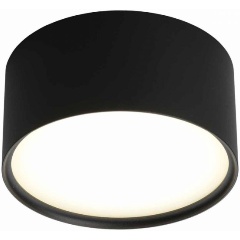 Изображение товара Настенно-потолочный светильник Omnilux Salentino OML-100919-12
