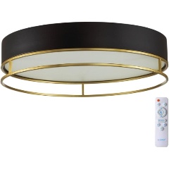 Изображение товара Потолочный светодиодный светильник Sonex Avra Lofty 7723/65L для гостиной