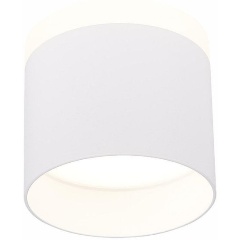 Изображение товара Потолочный светильник ST Luce Panaggio ST102.542.12