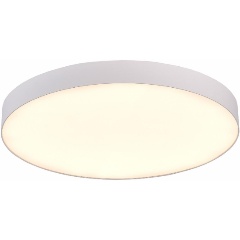 Изображение товара Потолочный светодиодный светильник ST Luce ST606.532.96