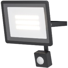 Изображение товара Светодиодный прожектор Maytoni Flood 30W 6500K IP65 с датчиком движения