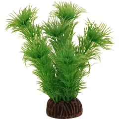 Изображение товара Растение Laguna "Амбулия" зеленая, 100мм