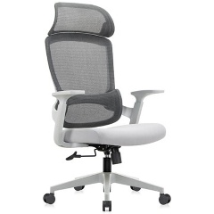 Изображение товара Офисное кресло RIVA CHAIR Job RCH 6246A-HS серое с регулировками и поясничной поддержкой