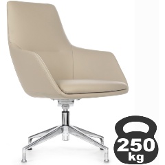 Изображение товара Кресло руководителя RIVA DESIGN Soul-ST C1908 Светло-серый